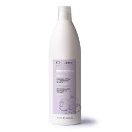 OY SUBLIME FRUIT - DETOX SHAMPOO WITH GARLIC EXTRACT Детокс-шампунь с экстрактом чеснока для всех типов волос 1000ml, фото 
