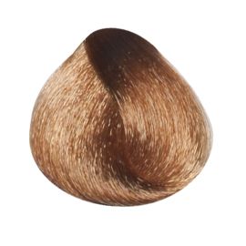 Oyster Cosmetics Крем-краска для волос "Perlacolor" 1/0 черный [CLONE] [CLONE] [CLONE] [CLONE] [CLONE] [CLONE] [CLONE] [CLONE] [CLONE] [CLONE] [CLONE] [CLONE] [CLONE] [CLONE] [CLONE] [CLONE] [CLONE] [CLONE] [CLONE] [CLONE] [CLONE] [CLONE] [CLONE] [CLONE] , image 
